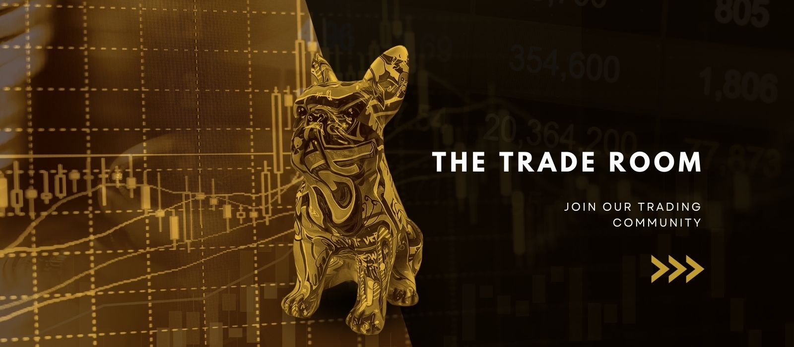 the trade room trading education 